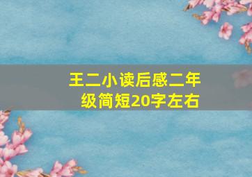 王二小读后感二年级简短20字左右