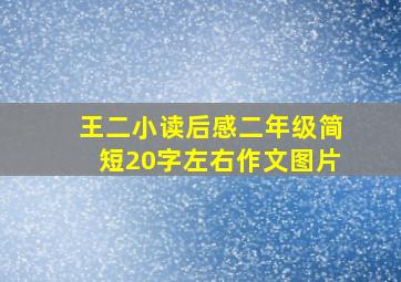 王二小读后感二年级简短20字左右作文图片