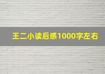 王二小读后感1000字左右