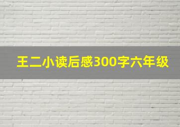 王二小读后感300字六年级