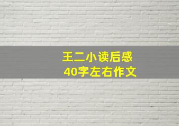 王二小读后感40字左右作文