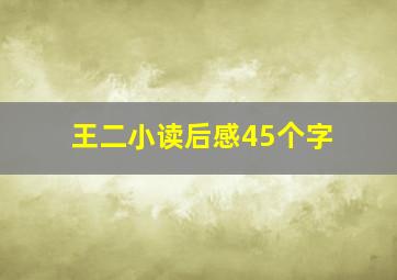 王二小读后感45个字