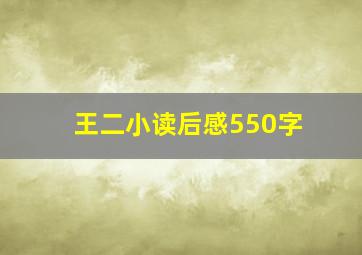 王二小读后感550字