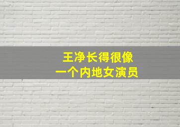 王净长得很像一个内地女演员