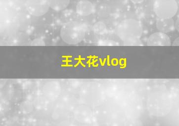 王大花vlog