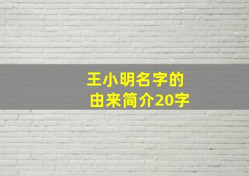 王小明名字的由来简介20字