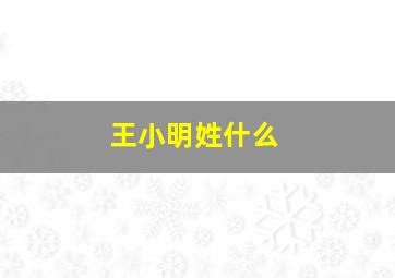 王小明姓什么