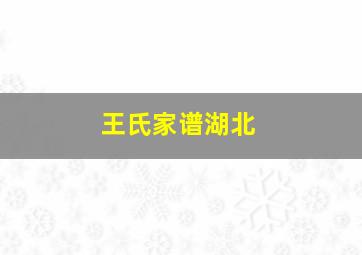 王氏家谱湖北