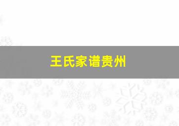 王氏家谱贵州