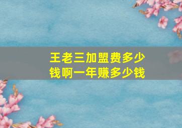 王老三加盟费多少钱啊一年赚多少钱