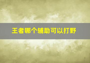 王者哪个辅助可以打野