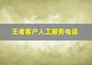 王者客户人工服务电话