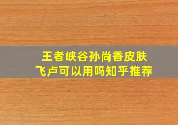 王者峡谷孙尚香皮肤飞卢可以用吗知乎推荐