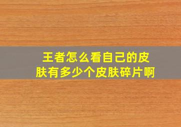 王者怎么看自己的皮肤有多少个皮肤碎片啊