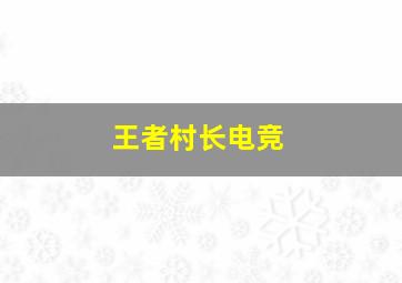 王者村长电竞