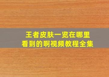 王者皮肤一览在哪里看到的啊视频教程全集