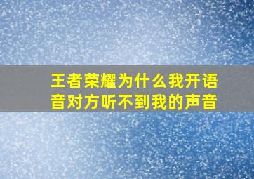 王者荣耀为什么我开语音对方听不到我的声音