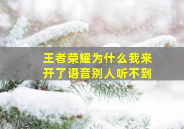 王者荣耀为什么我来开了语音别人听不到