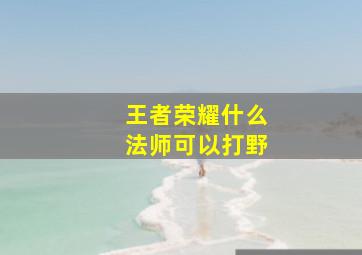 王者荣耀什么法师可以打野