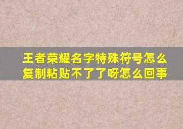 王者荣耀名字特殊符号怎么复制粘贴不了了呀怎么回事