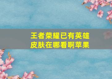 王者荣耀已有英雄皮肤在哪看啊苹果