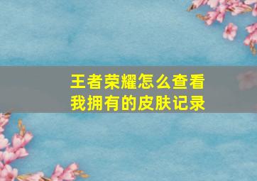 王者荣耀怎么查看我拥有的皮肤记录