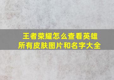 王者荣耀怎么查看英雄所有皮肤图片和名字大全