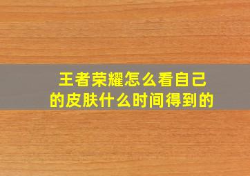 王者荣耀怎么看自己的皮肤什么时间得到的