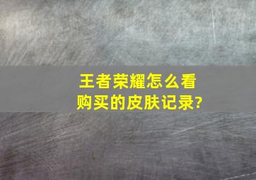 王者荣耀怎么看购买的皮肤记录?