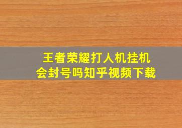 王者荣耀打人机挂机会封号吗知乎视频下载