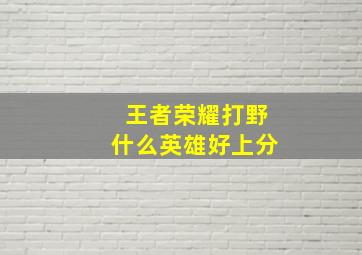 王者荣耀打野什么英雄好上分