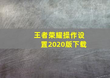 王者荣耀操作设置2020版下载