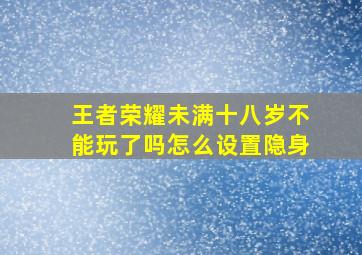 王者荣耀未满十八岁不能玩了吗怎么设置隐身