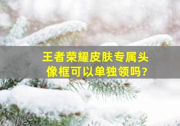 王者荣耀皮肤专属头像框可以单独领吗?