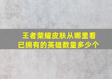 王者荣耀皮肤从哪里看已拥有的英雄数量多少个