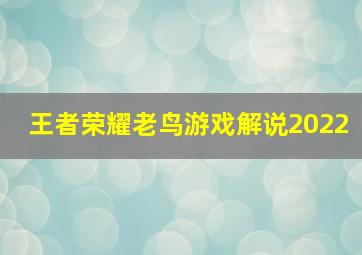 王者荣耀老鸟游戏解说2022