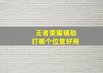 王者荣耀辅助打哪个位置好用