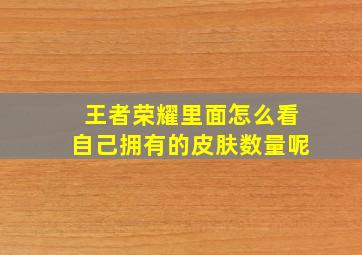 王者荣耀里面怎么看自己拥有的皮肤数量呢