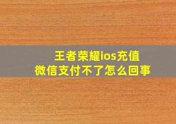 王者荣耀ios充值微信支付不了怎么回事