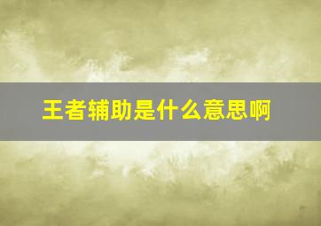 王者辅助是什么意思啊