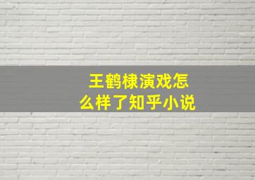 王鹤棣演戏怎么样了知乎小说