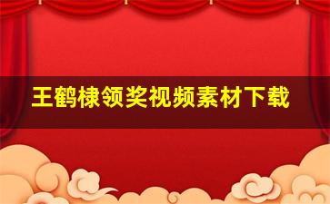 王鹤棣领奖视频素材下载