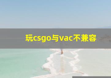 玩csgo与vac不兼容