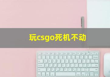 玩csgo死机不动