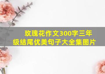 玫瑰花作文300字三年级结尾优美句子大全集图片