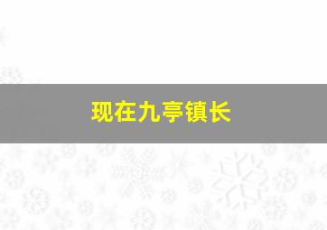 现在九亭镇长