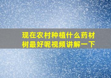 现在农村种植什么药材树最好呢视频讲解一下