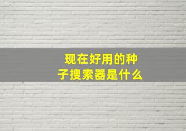 现在好用的种子搜索器是什么