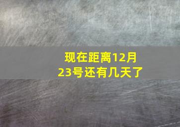 现在距离12月23号还有几天了