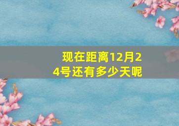 现在距离12月24号还有多少天呢